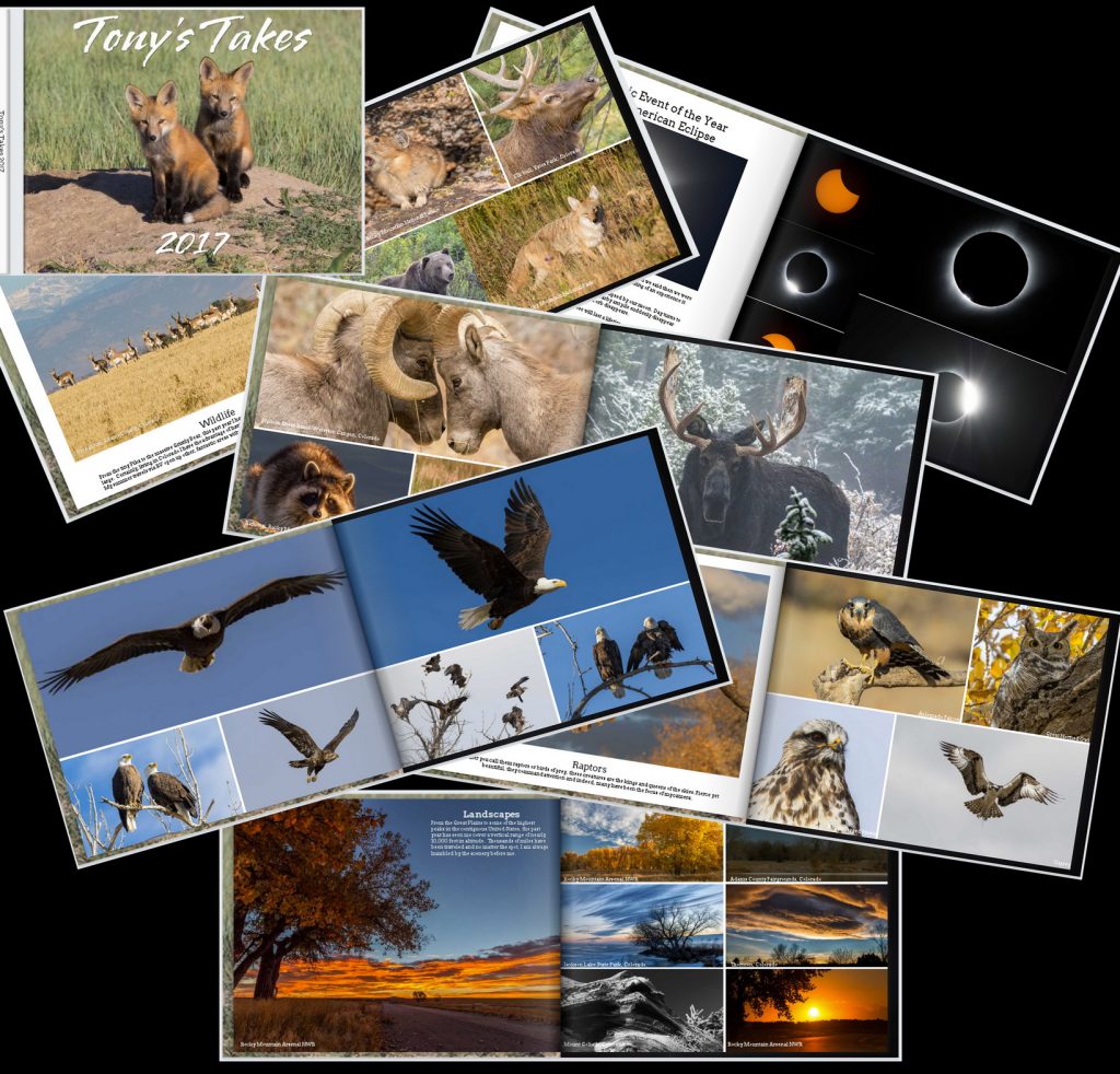 Tony's Takes Photo Book - Landscape, wildlife and more.