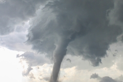 Portrait of the Campo tornado