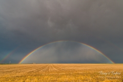 Rainbow above the golden plains