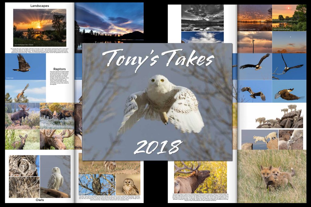 Tony's Takes 2018 photo book