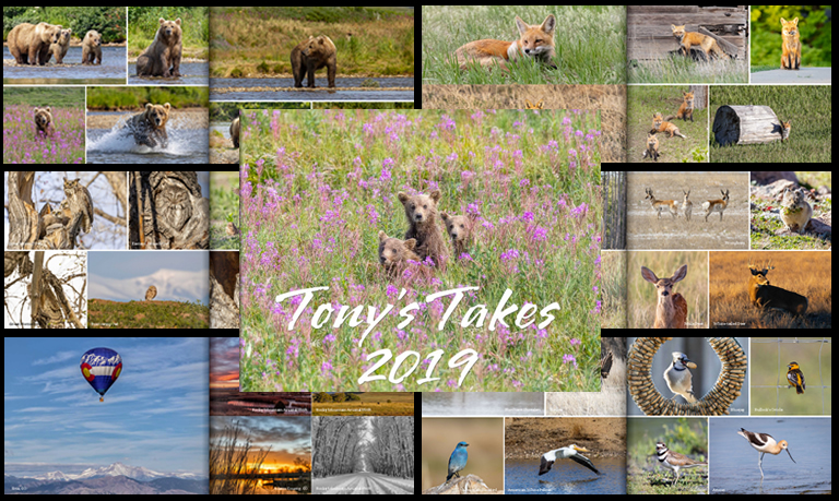 Tony's Takes 2019 Photo Book