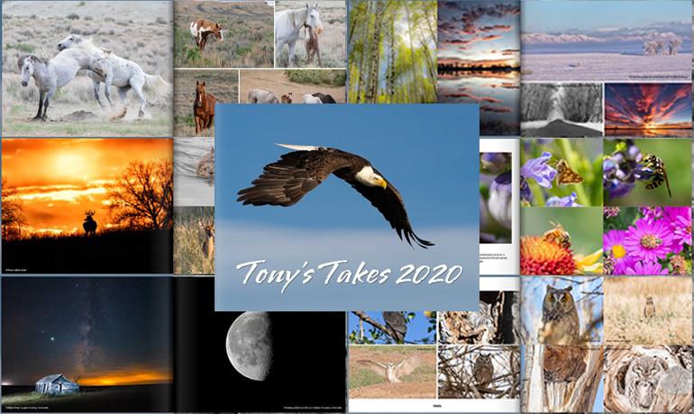 Tony's Takes Photography 2020 Photo Book