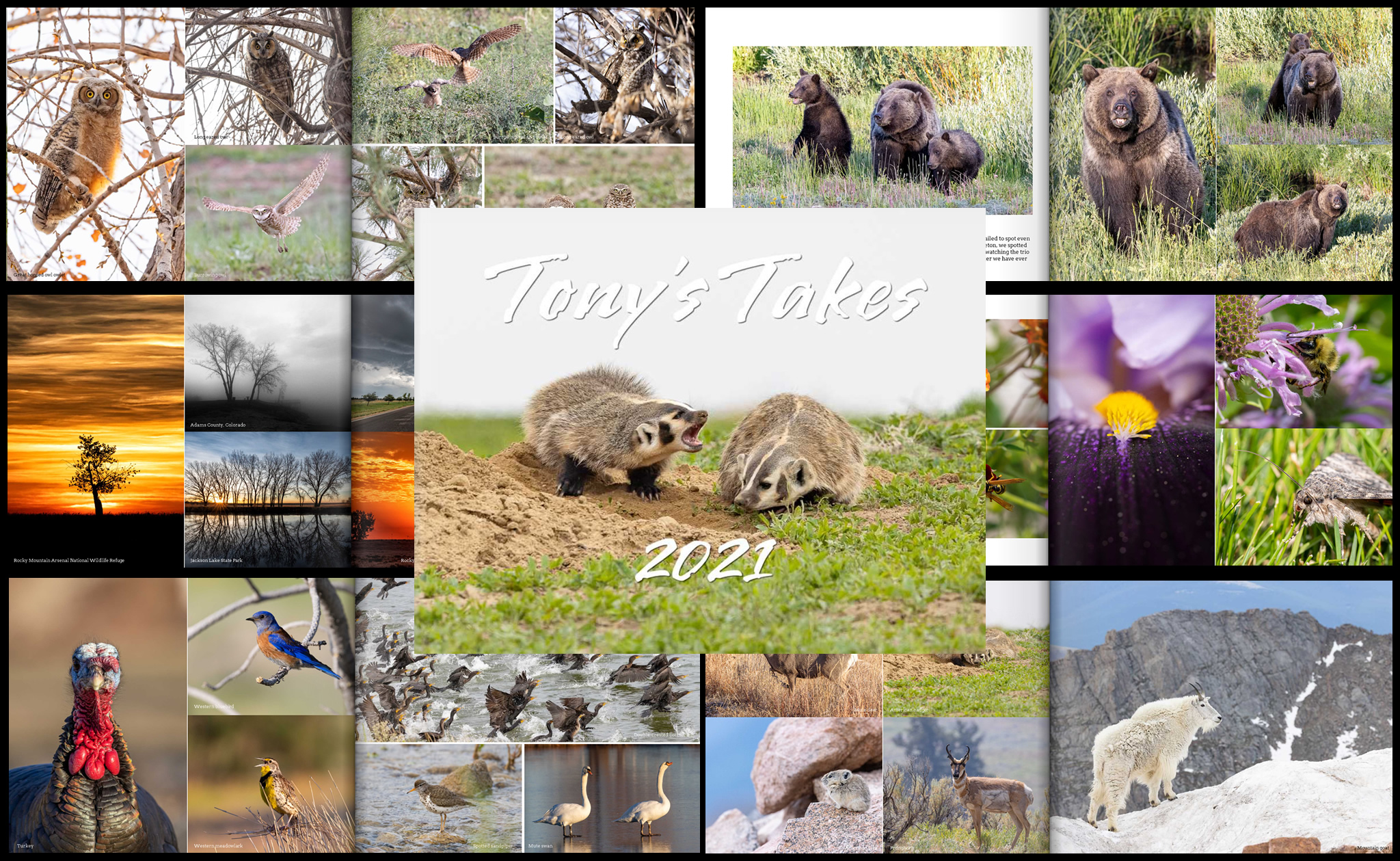 Tony’s Takes Wildlife and Landscape Photo Book