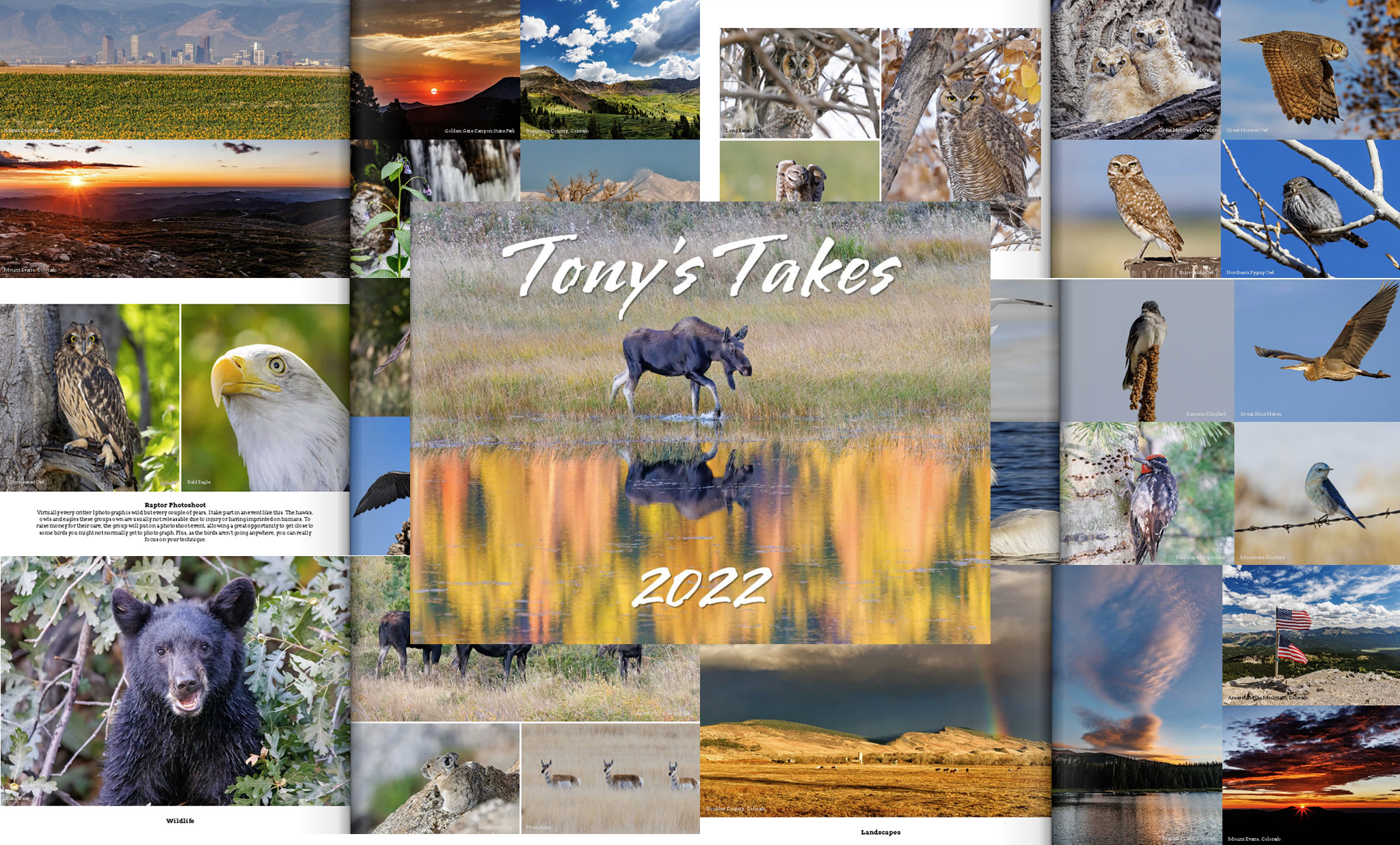 Tony's Takes 2022 Photo Book