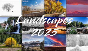 2025 calendars now available!